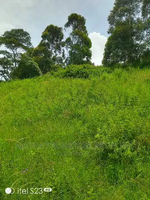 Mua -Kaloleni 2 Acres Half Quick Sale 2.9M Per Acre
