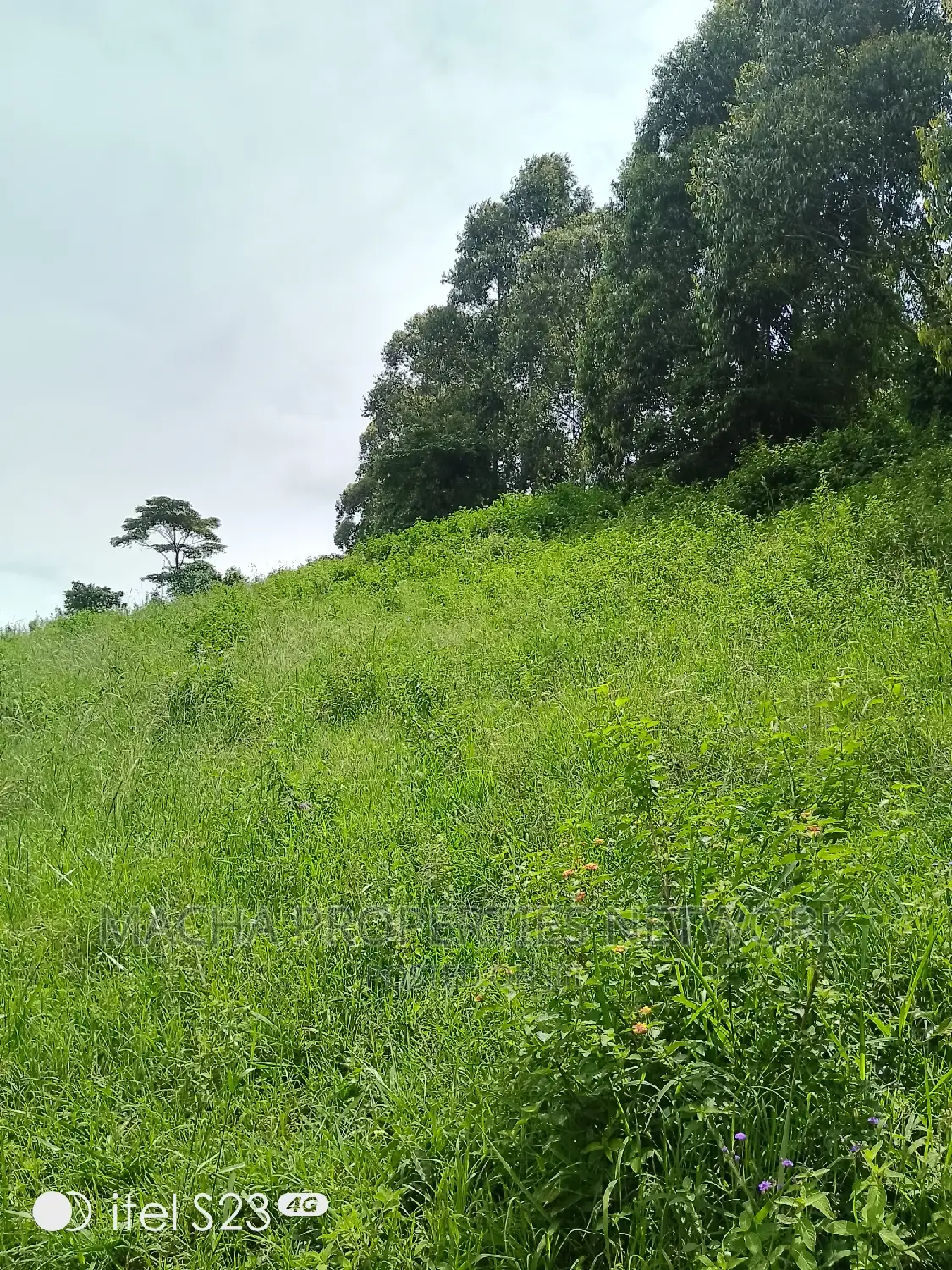 Mua -Kaloleni 2 Acres Half Quick Sale 2.9M Per Acre