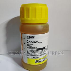 Cabrio 250ec - thumbnail 2