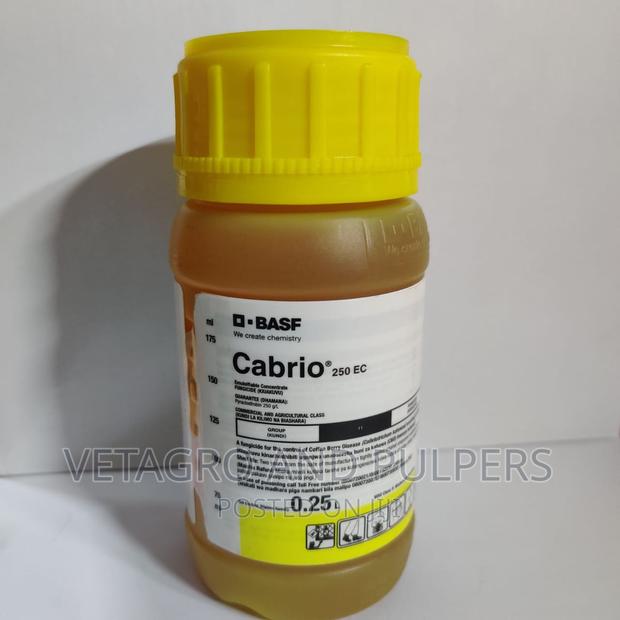 Cabrio 250ec - main view