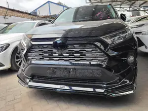 Toyota RAV4 LE AWD 2019 Matt Black