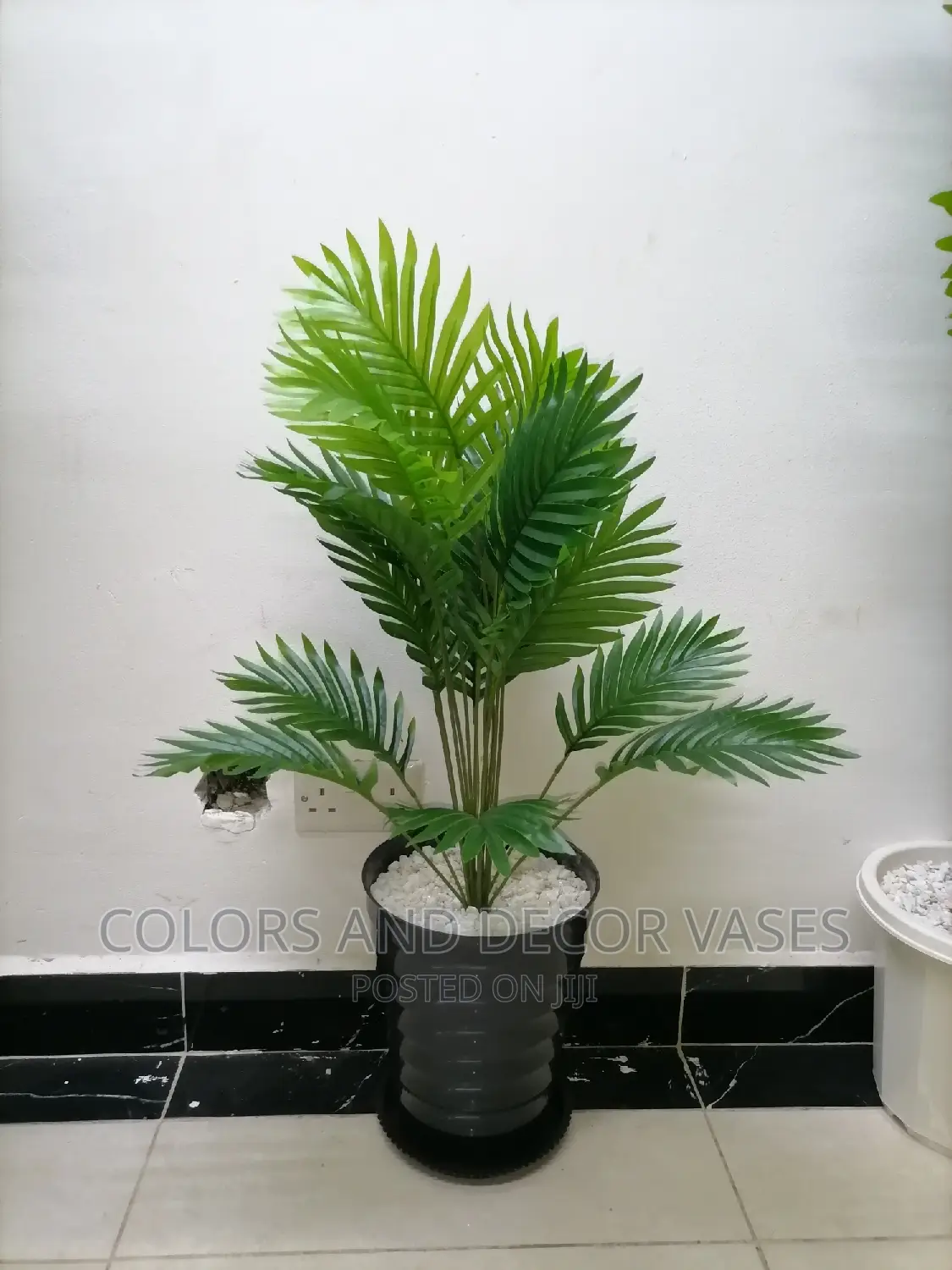 Palm Tree With Plastic Vase and Bottom Tray