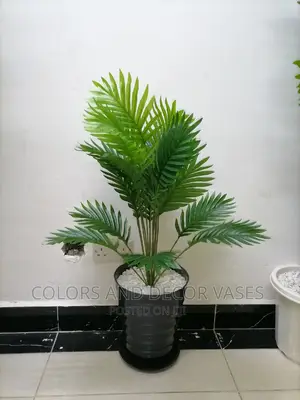 Palm Tree With Plastic Vase and Bottom Tray