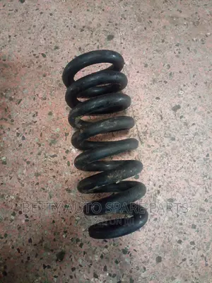 Toyota Dyna Springs