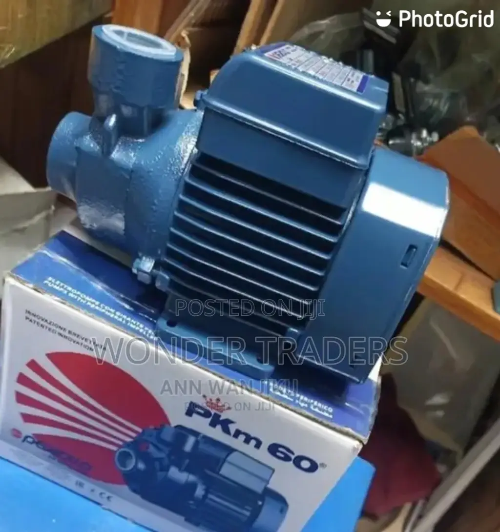 Pedrollo Water Pump PKM 60.0 Hp,