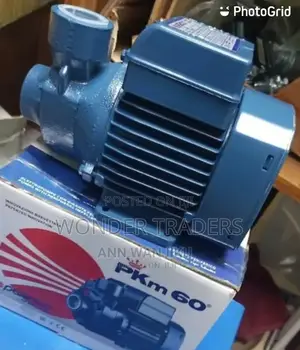 Pedroll Water Pump PKM 60;