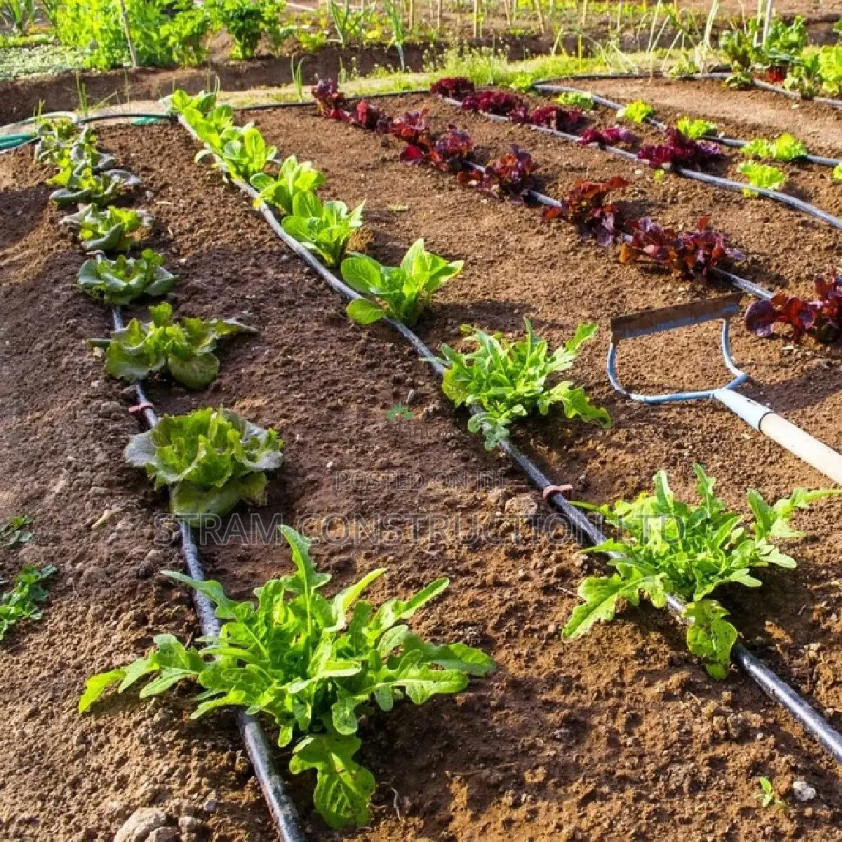 Drip Irrigation Services