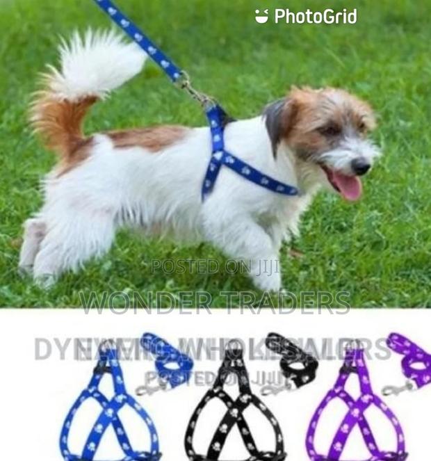 Chiwawa Dog Leash/Puppy Dog Leash - main view