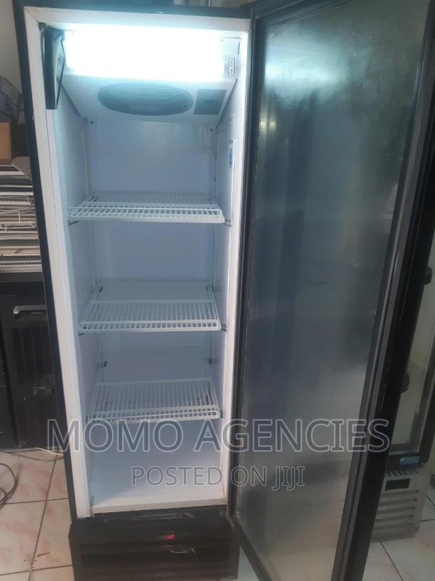 Display Fridge 300l - main view