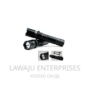 Electric Shock and Laser Pointer Torch