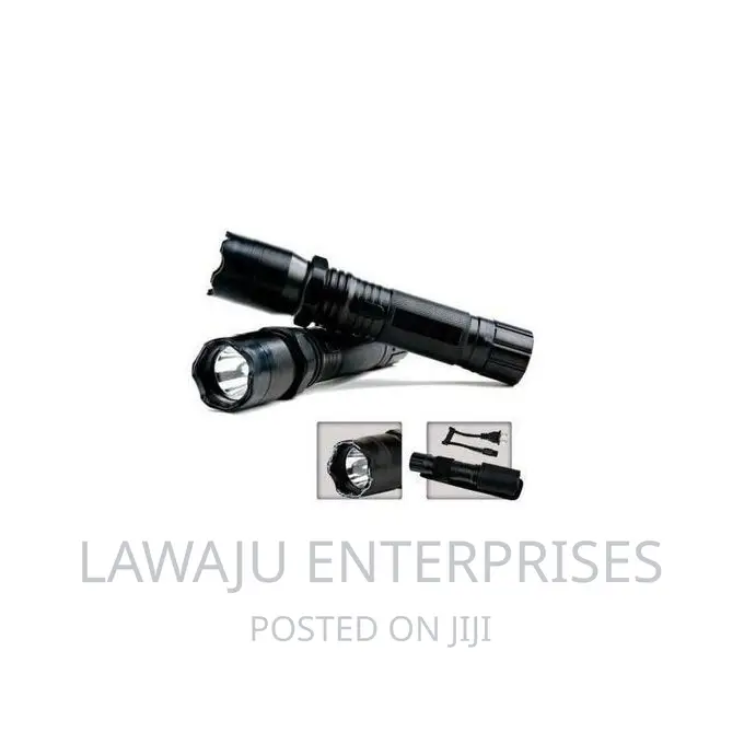 Electric Shock and Laser Pointer Torch