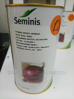 Hybrid Onions Jambar 500gms