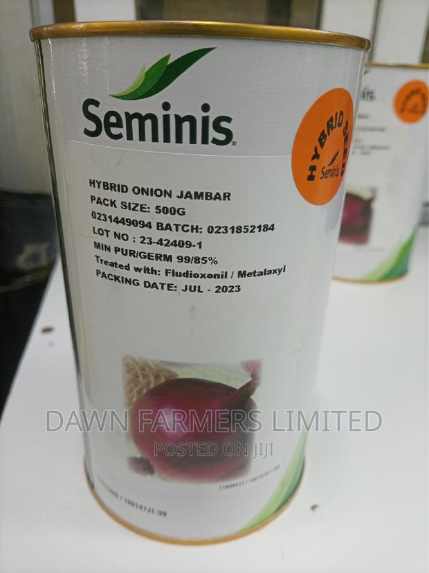 Hybrid Onions Jambar 500gms
