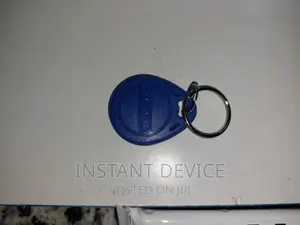 Keyfob RFID Tag