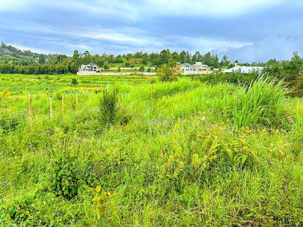 Residential Plot for Sale in Kikuyu, Rose Gate - thumbnail 7