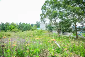 Residential Plot for Sale in Kikuyu, Kamangu.