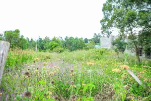 Residential Plot for Sale in Kikuyu, Kamangu.