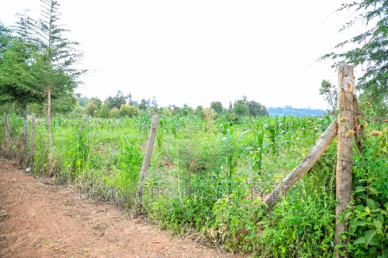 Prime Residential 1/4 Acre Plot for Sale in Kikuyu, Kamangu