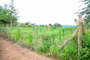Prime Residential 1/4 Acre Plot for Sale in Kikuyu, Kamangu