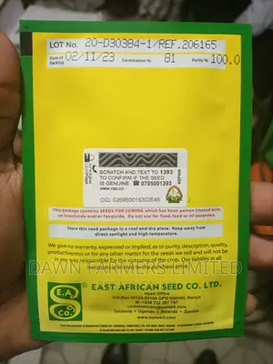 Pumpkin Small Sugar10gms