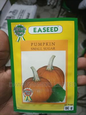 Pumpkin Small Sugar10gms - main view