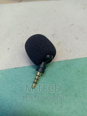 Portable Mic - main view