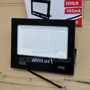 Floodlight 100 Watts Electric Neelux