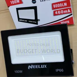 Good Quality 100 Watts Electric Floodlights