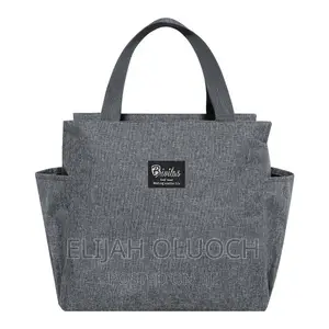 Insulated Big Lunch Bag