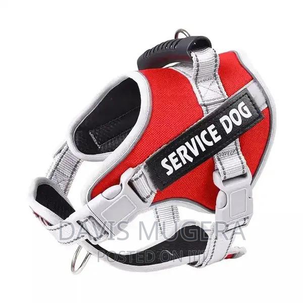 Reflective Service Dog Harness - XXL - main view