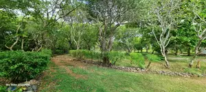 Kuruwitu Vipingo, 4.4 Acre Beach Property on Sale