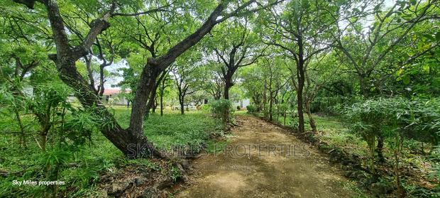 Kuruwitu Vipingo, 4.4 Acre Beach Property on Sale - thumbnail 14