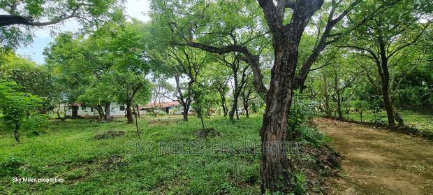 Kuruwitu Vipingo, 4.4 Acre Beach Property on Sale - thumbnail 15