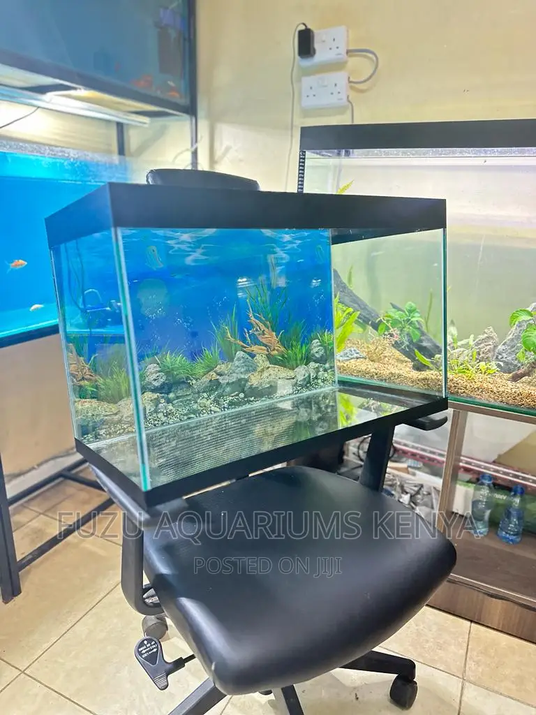 Quality Best Aquariums