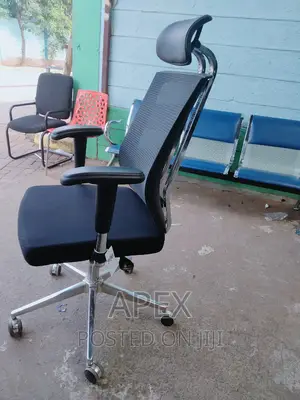 Orthopedic Executive Office Chair.