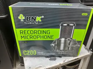 BNK C200 Condenser Mic