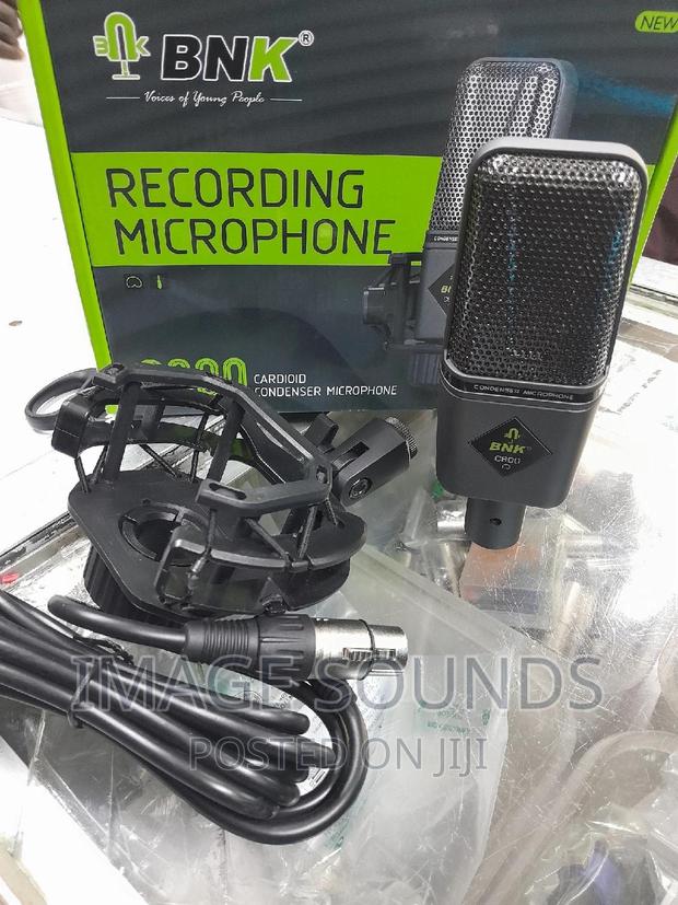 Condenser Studio XLR Microphone (C 800) - main view