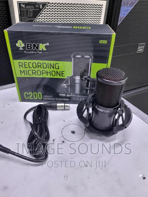 Recording Microphone C200 - main view