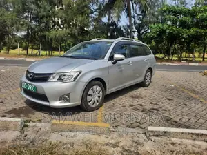 Toyota Corolla Fielder 2017 Silver