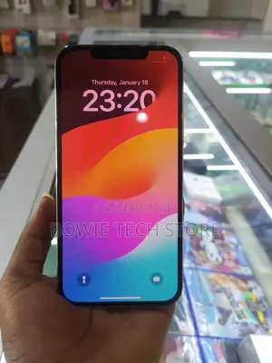 Apple iPhone 12 Pro Max 128 GB Silver
