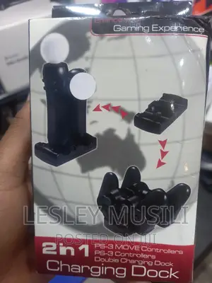 2 in 1 Charging Dock