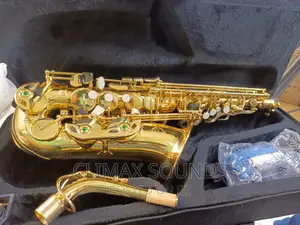Alto Saxaphone Suzuki's