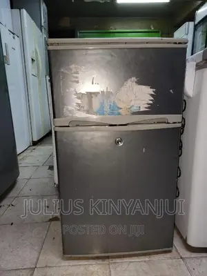 Mini Fridge Double Door