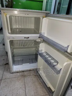 Mini Fridge Double Door