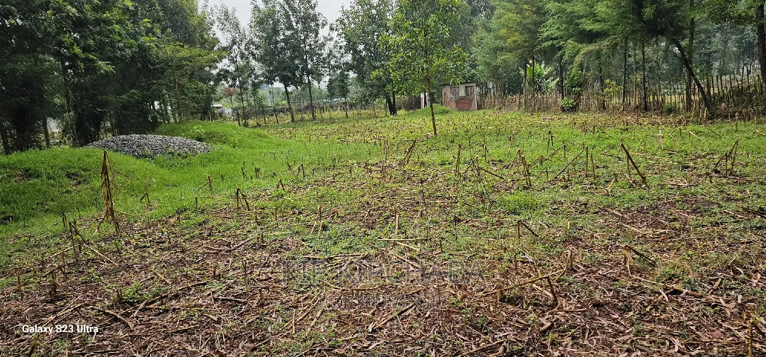 1⁄4 Plot for Sale in Cheplasgei Bypass Greenwood Eldoret