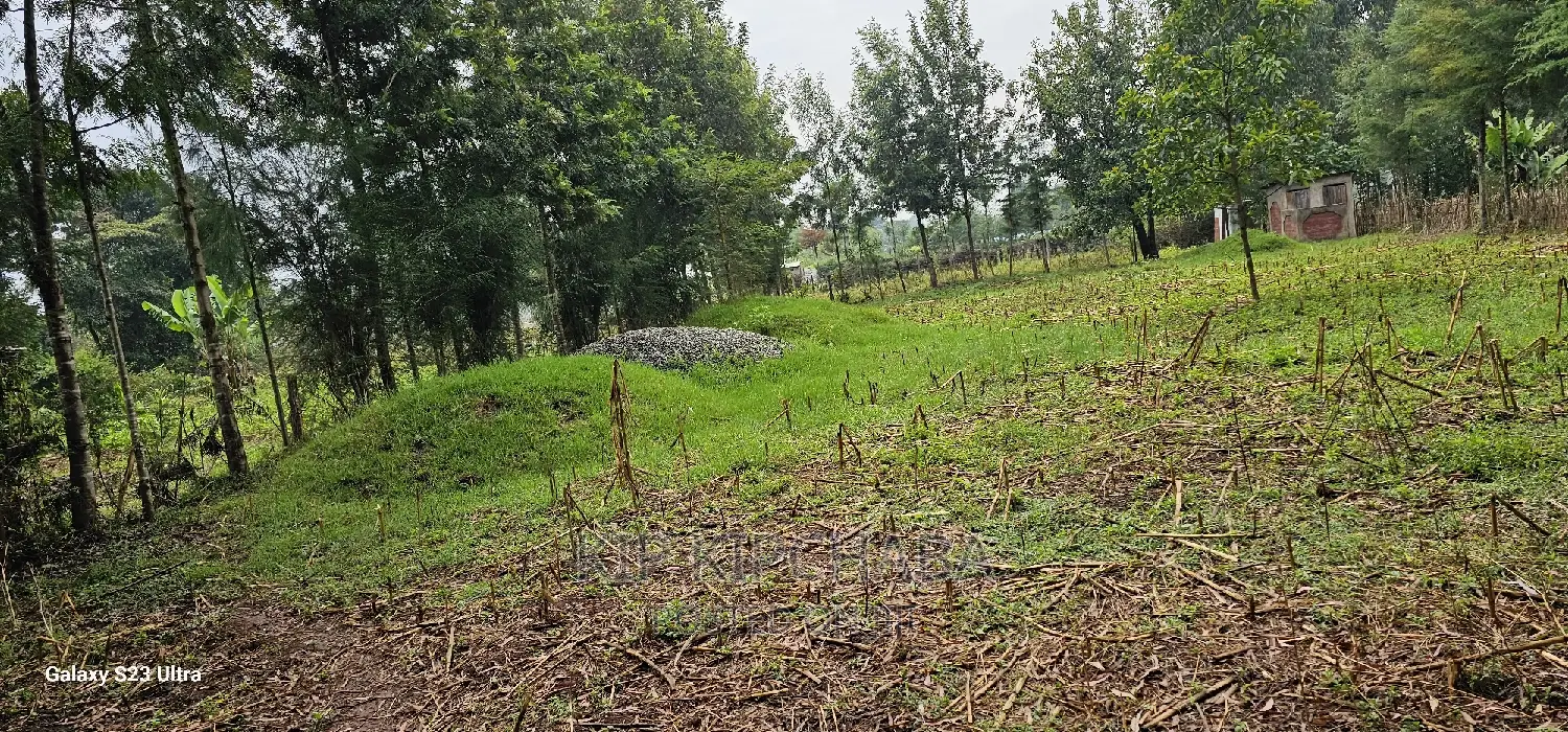 1⁄4 Plot for Sale in Cheplasgei Bypass Greenwood Eldoret
