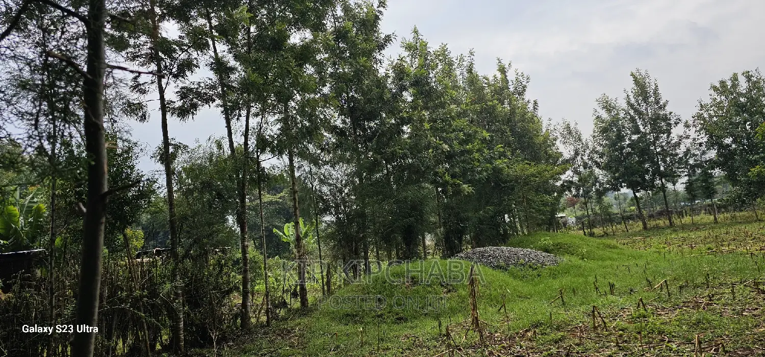 1⁄4 Plot for Sale in Cheplasgei Bypass Greenwood Eldoret