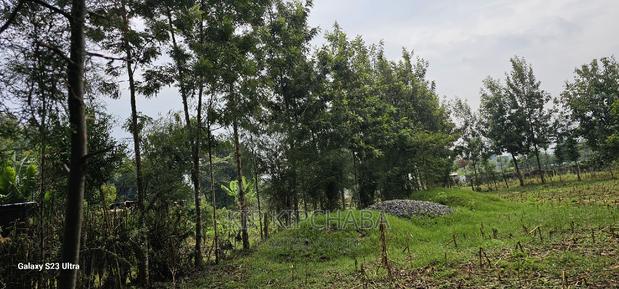 1⁄4 Plot for Sale in Cheplasgei Bypass Greenwood Eldoret - thumbnail 3
