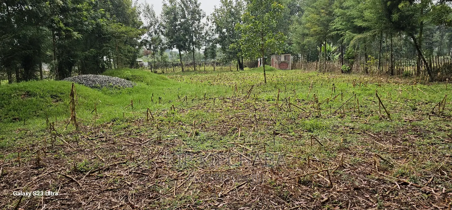 1⁄4 Plot for Sale in Cheplasgei Bypass Greenwood Eldoret