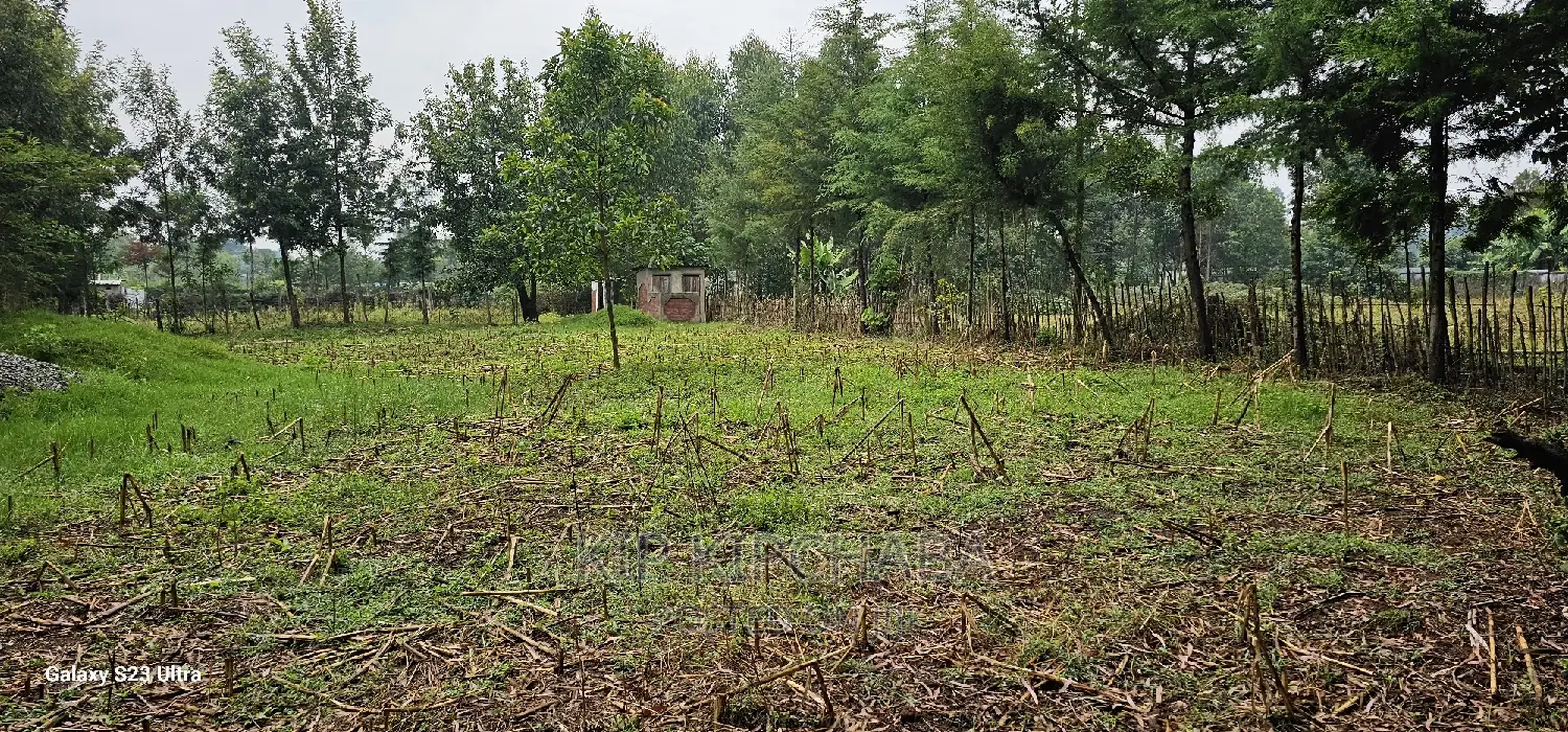 1⁄4 Plot for Sale in Cheplasgei Bypass Greenwood Eldoret